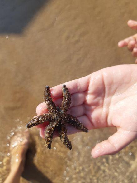 Fronte Mare Διαμέρισμα Avola Εξωτερικό φωτογραφία