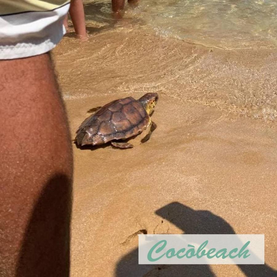Fronte Mare Διαμέρισμα Avola Εξωτερικό φωτογραφία